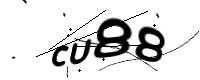 captcha_img