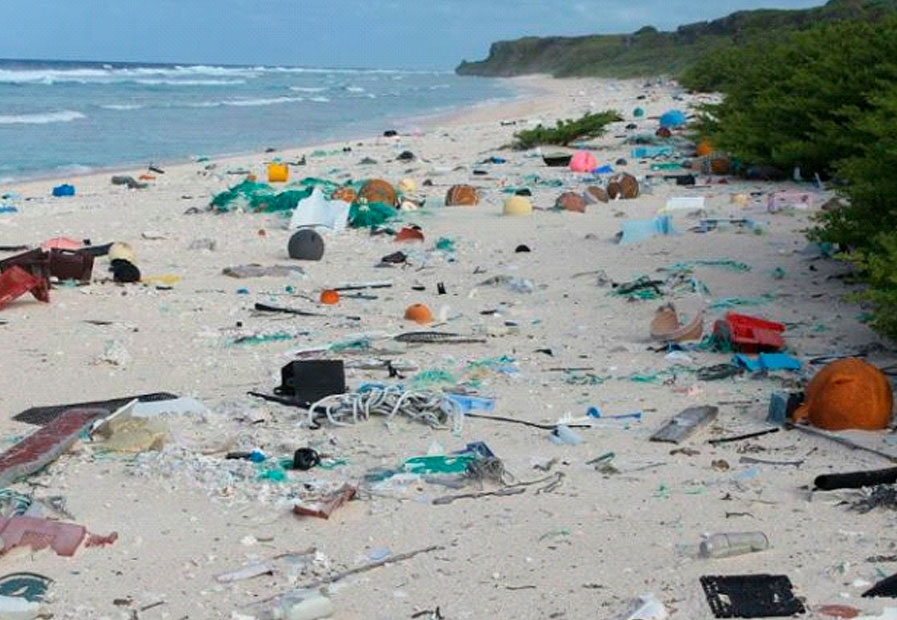 Portugueses descobrem fungo que come plástico nos oceanos